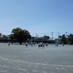 DSCF7345