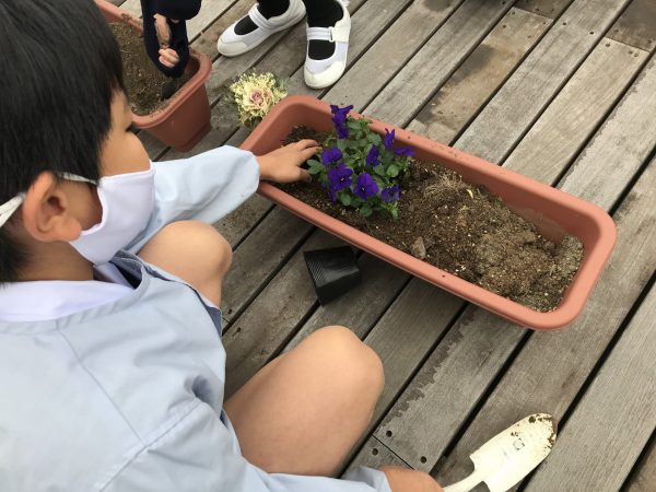 花の植え替え 晃華学園小学校