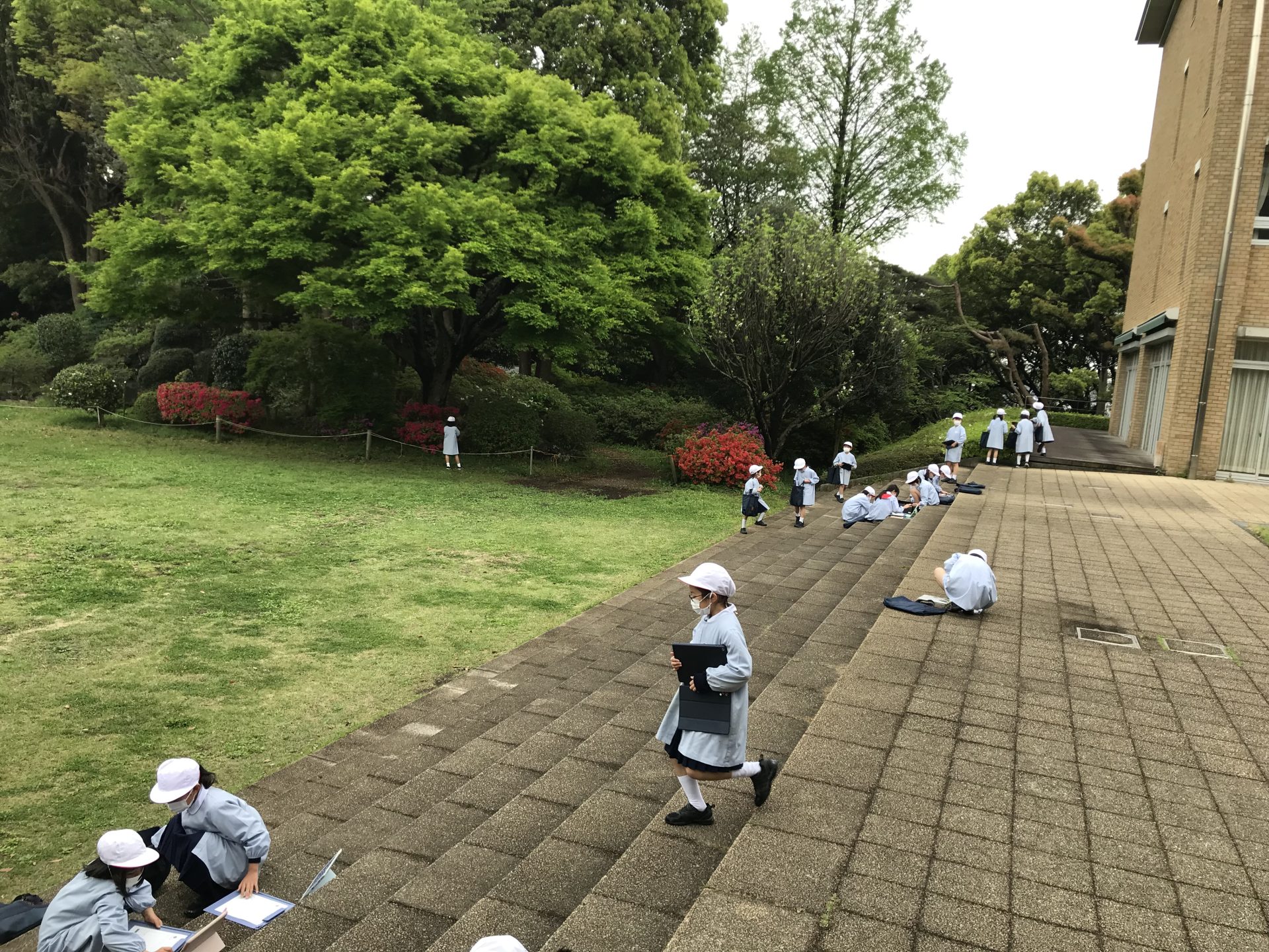 春の生き物の観察 晃華学園小学校